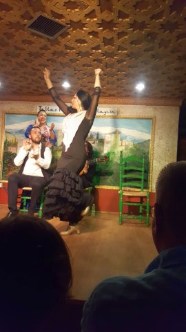 554 granada flamenco show